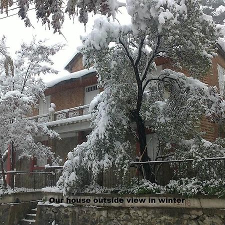 Metaxas Mansion Guest House Kakopetria Luaran gambar
